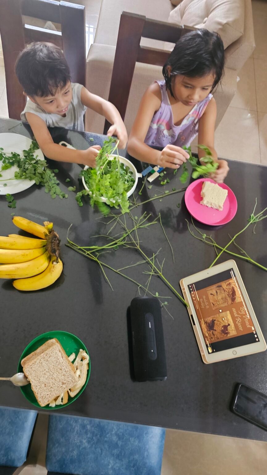 Chores plus By Pond and River Read aloud